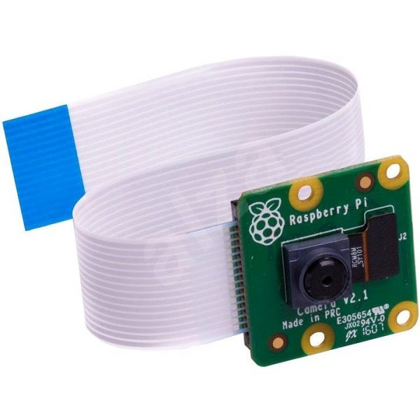 raspberry pi Camera Module