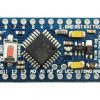Arduino Pro-Mini Development Board