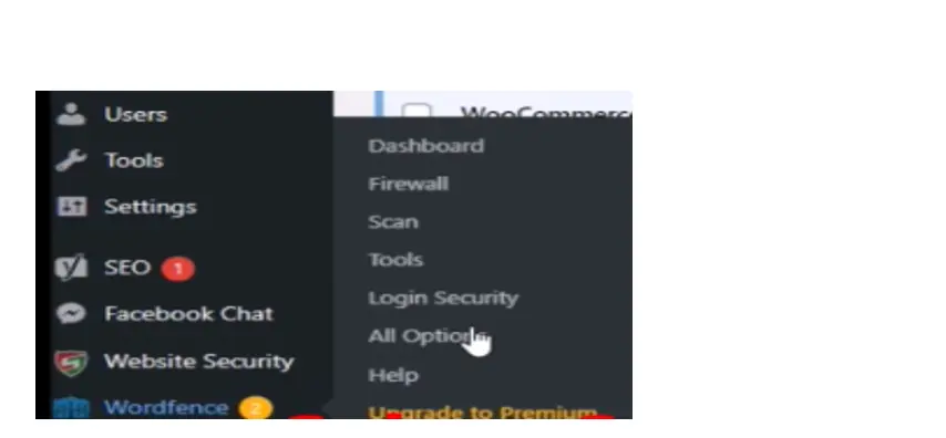 WordFence Plugin Scan options