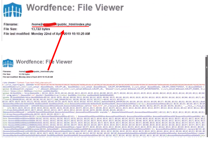 cPanel file directory path