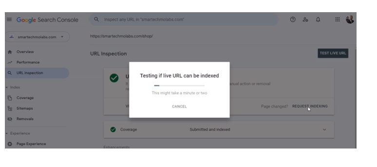 Page Indexing on search console