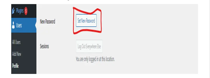 Set new password for WordPress site