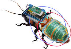 rechargeable remote-controllable cyborg cockroach