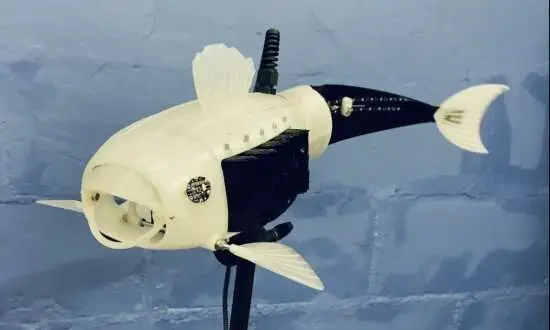 robotic Fish 'robo-fish' Help with Plastic Pollution Removal