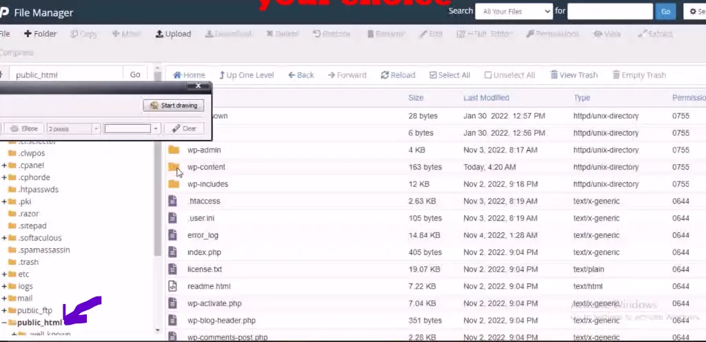 Update WordPress From cPanel