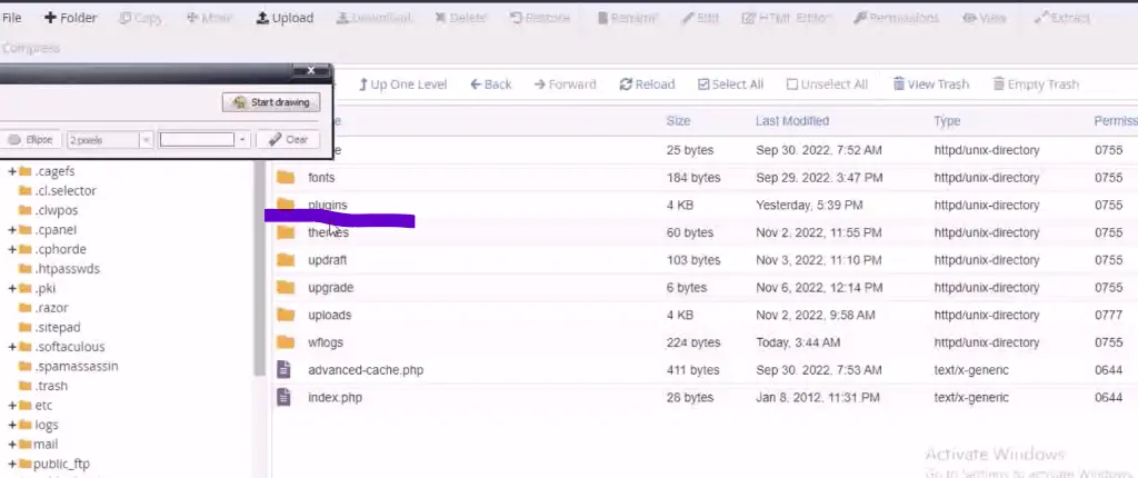 Update WordPress From cPanel