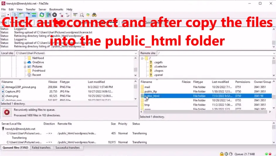 restore and recover your crashed website