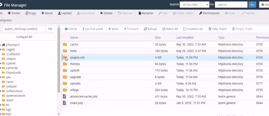 restore and recover your crashed website