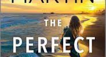 The Perfect Murder A Novel By Kate Martin Review Book