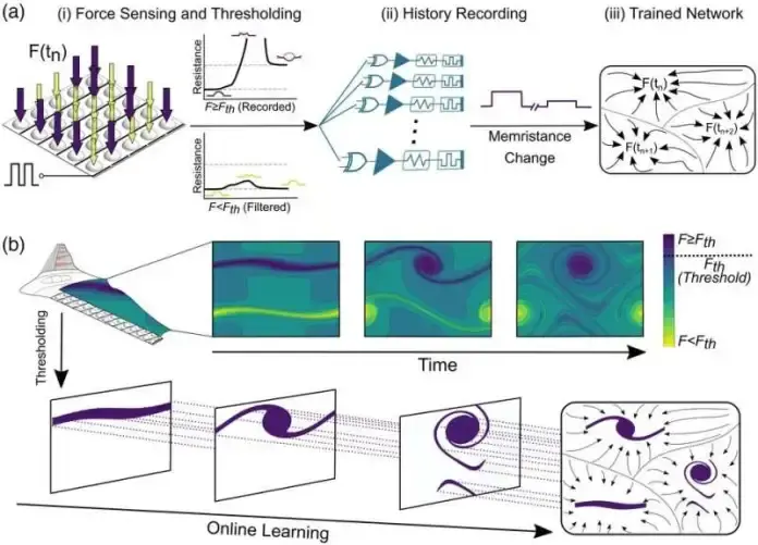 drone learn to sense danger faster
