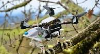 A Newly Invented Robots That Can Land In Form Of A Bird