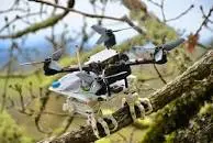 robot that can land like a bird