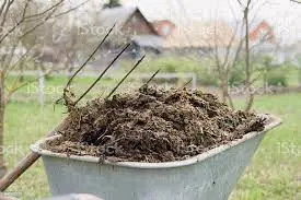 manure for sale