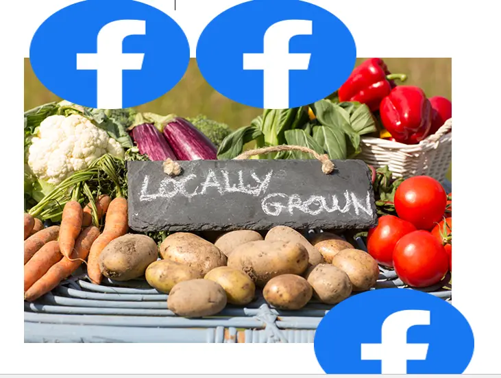make money online by selling local products