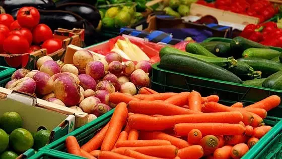 make money online through agro-products