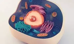microbots