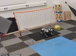 A robotic goalkeeper with four legs that uses reinforcement learnin