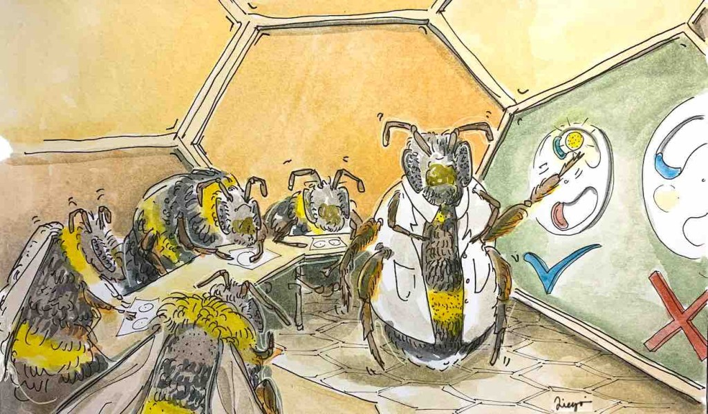 Bumblebees Learns New