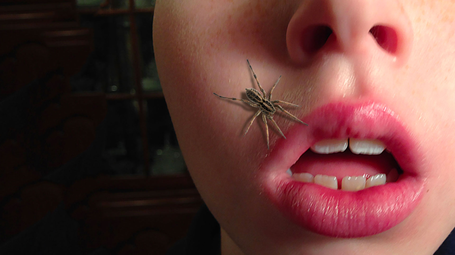 protection against spiders is another reason you shouldn't sleep naked