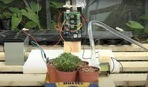 automated plant care