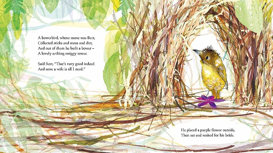 The Bowerbird By Julia Donaldson