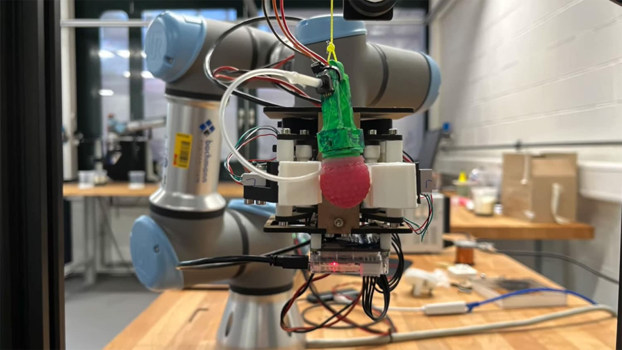 training a robot in the laboratory to identify raspberry fruits