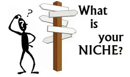 discover your niche: How to make money online for beginners