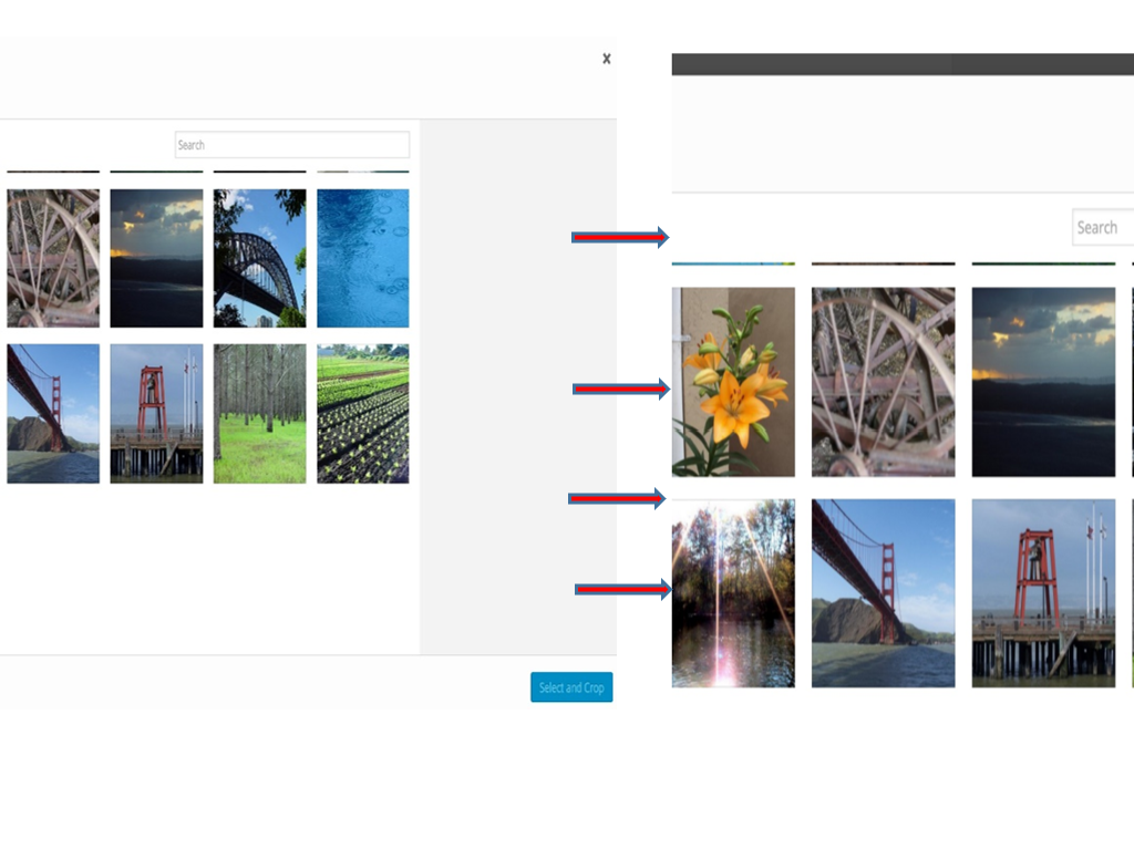 Stop WordPress Cropping Your Uploaded Image