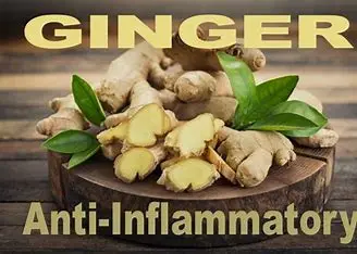 anti inflammatory benefit of ginger