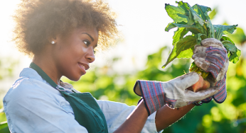 Vegetable Garden: How to Grow Your Own Vegetables