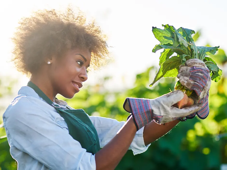 How to Grow Your Own Vegetables