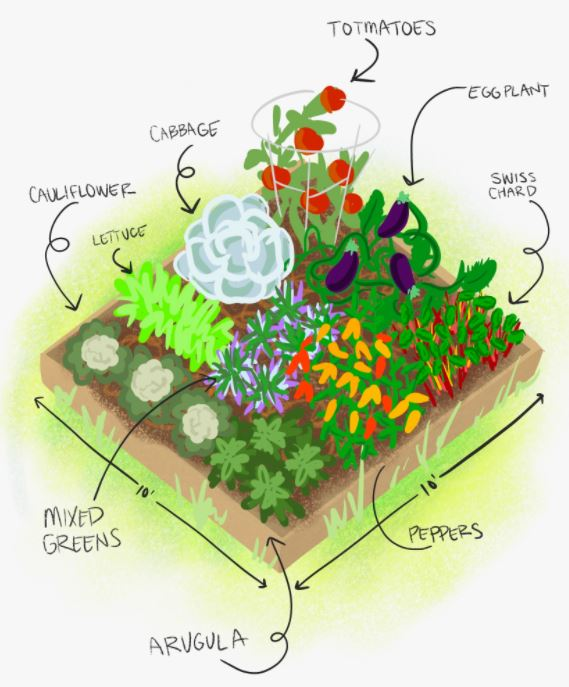 Plan Your Garden