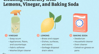 Cleaning Products: How to Make a Homemade Cleaning Product
