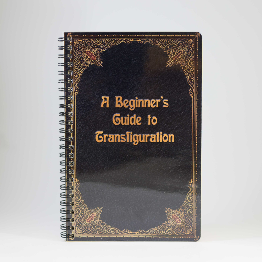 A beginner's Guide To Transfiguration