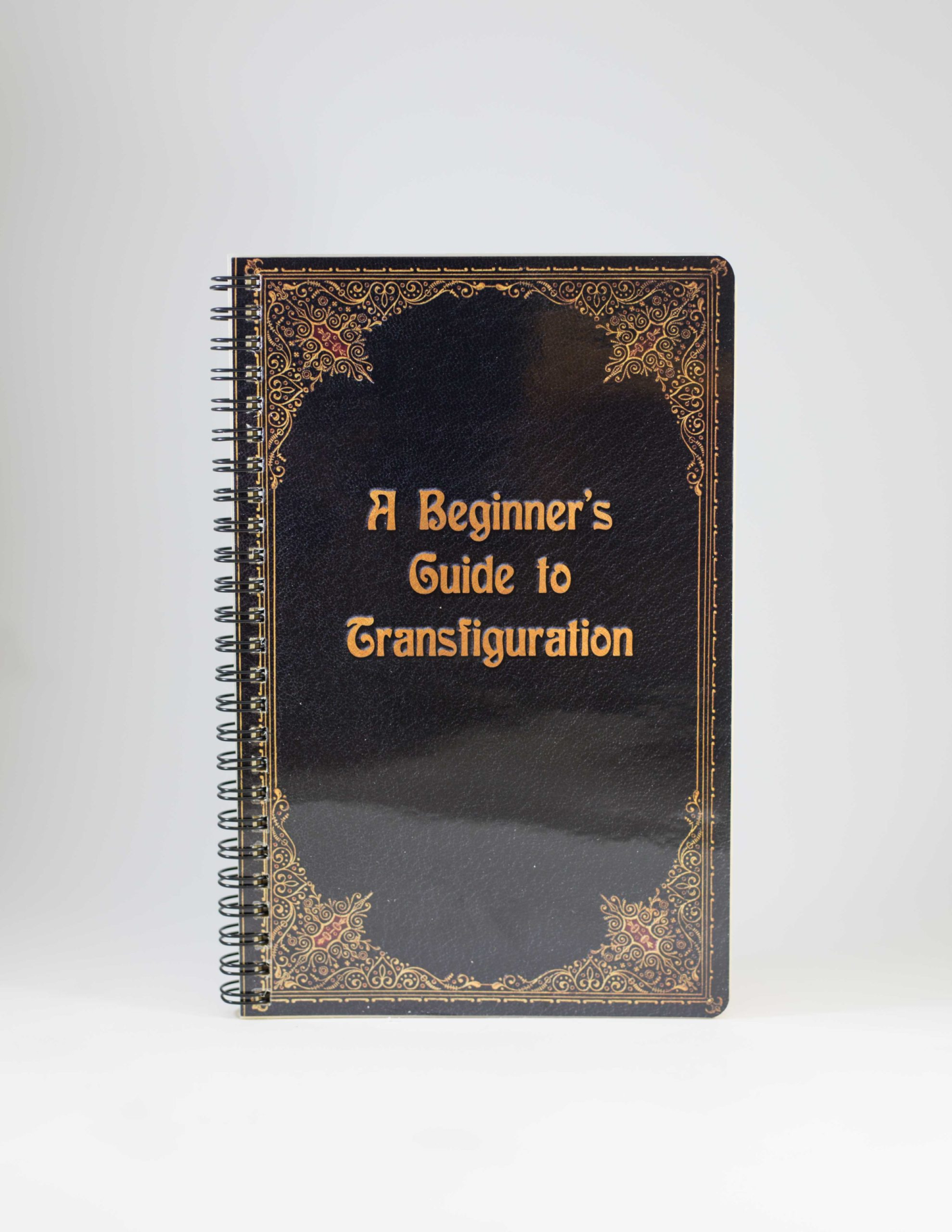 A beginner's Guide To Transfiguration
