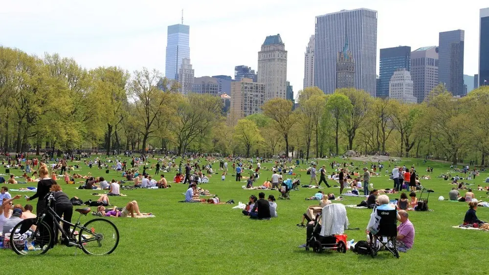 Visit Central Park.