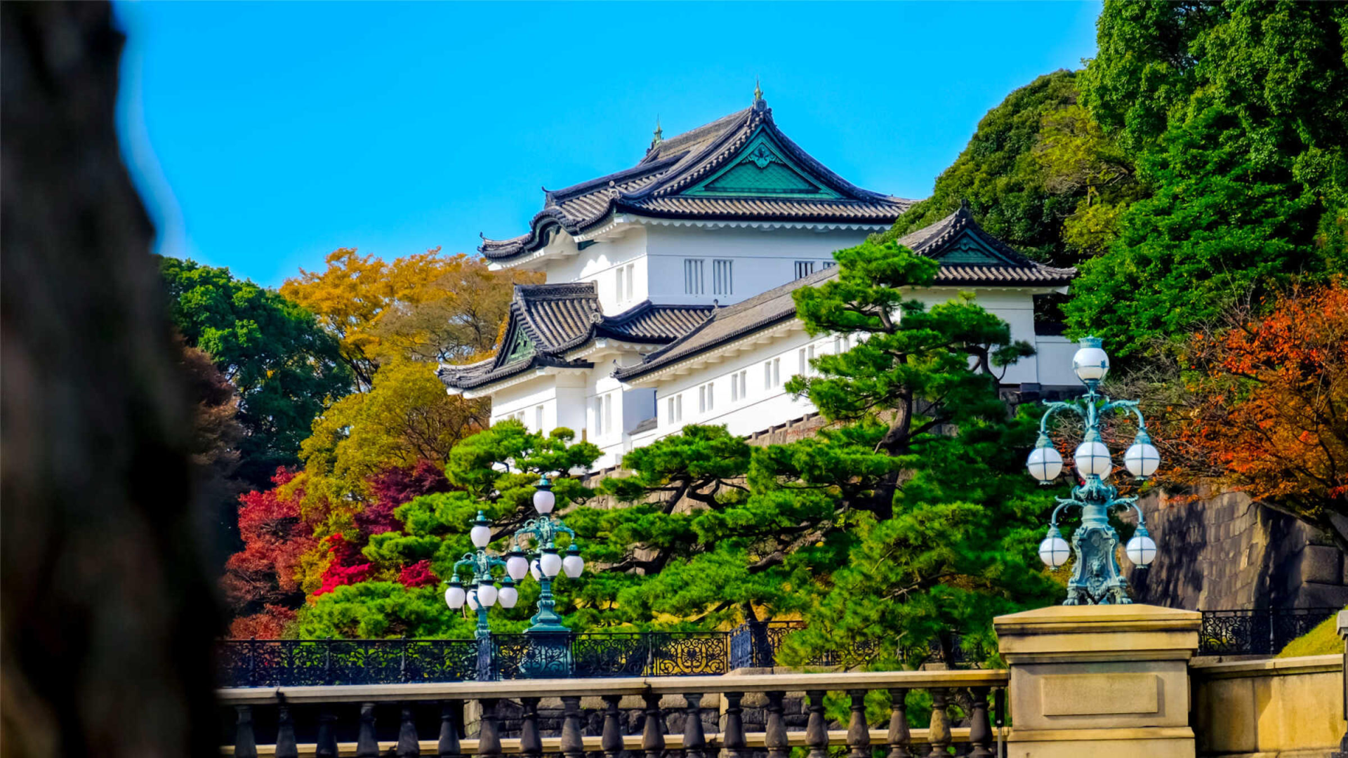 Visit the Imperial Palace.