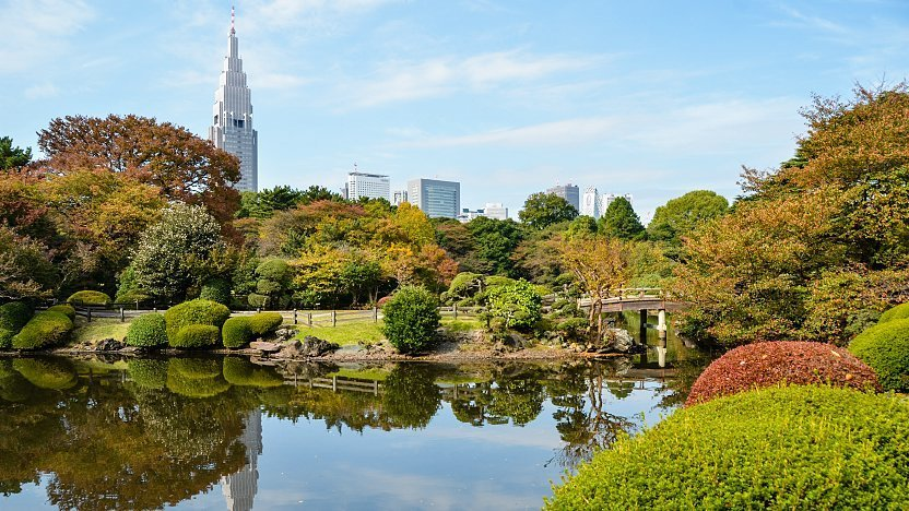 Take a walk through Shinjuku Gyoen National Garden.
