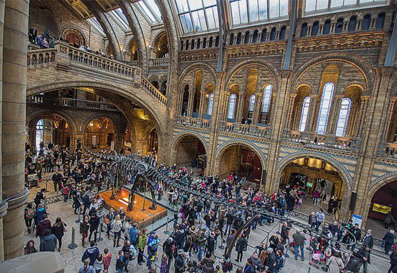 Visit the Natural History Museum.
