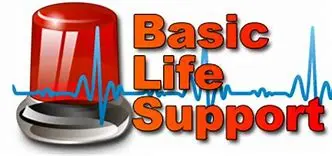 basic life support