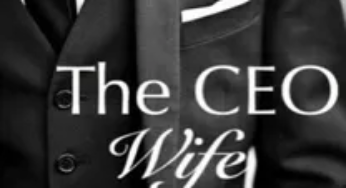 The CEO Wife