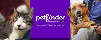 Unlocking Pet Happiness: Navigating the World of Pet Adoption with Petfinder