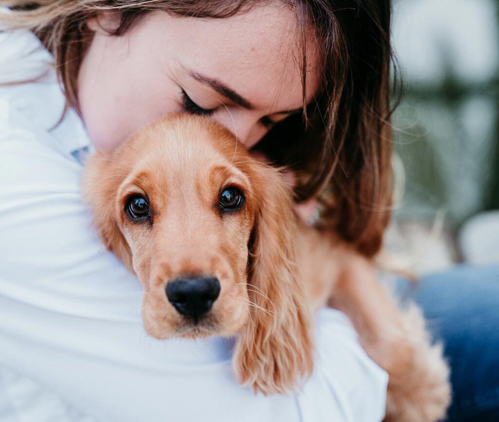 Craigslist Free Pets: A Comprehensive Guide | Smartech