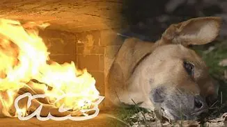 flame cremation