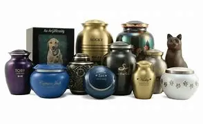 crematory ashes