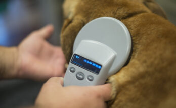 scanning pet microchip