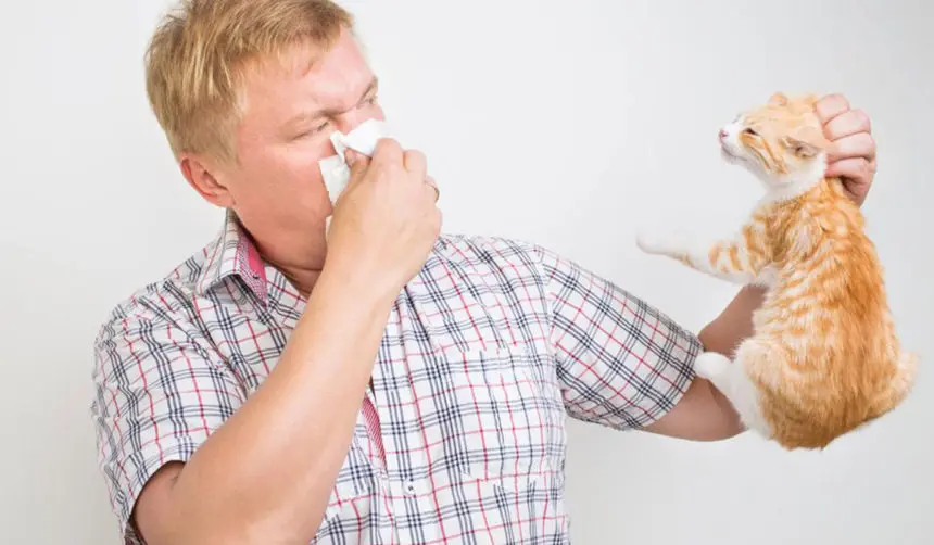 pet allergies