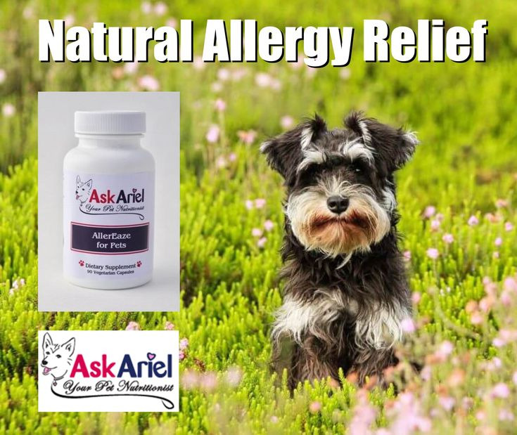 allergies treatment