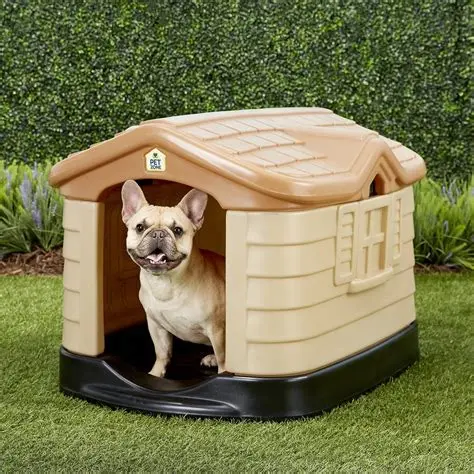 pet zone