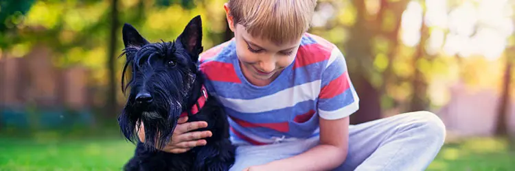 Pet Zoos: A Journey into the World of Animal Companions